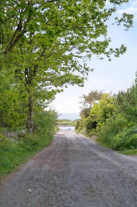 Cozy Cottage By The Sea South Of Varberg Traslovslage Экстерьер фото